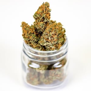 Flexible Pack-cannabis-glass-jar-portrait